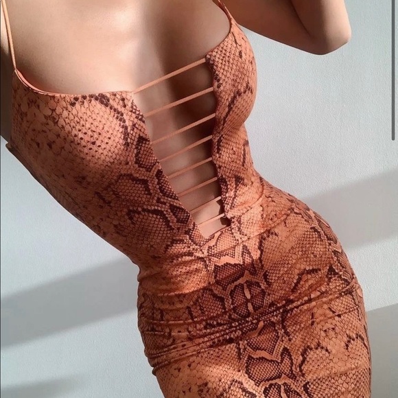 Dresses & Skirts - tiger mist snakeskin print dress (xxs)